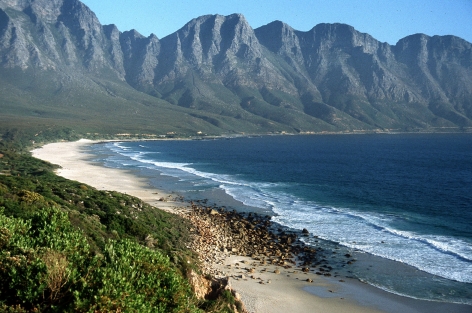 SÜDAFRIKA, Tafelberg im Schutzgebiet Cape Floral, Weltnaturerbe der UNESCO